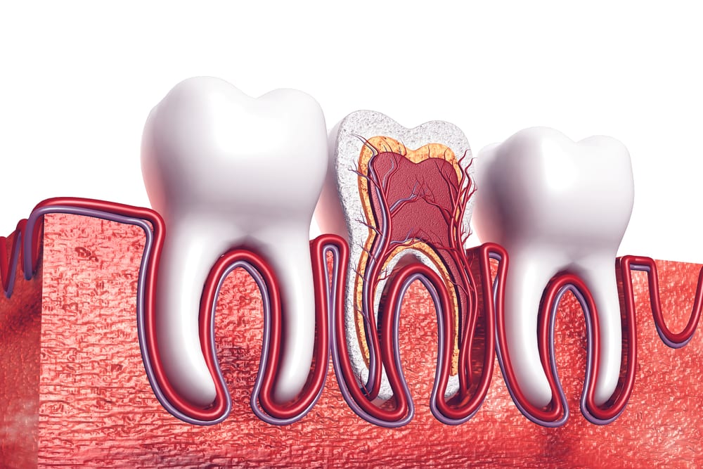 image graphic of root canal